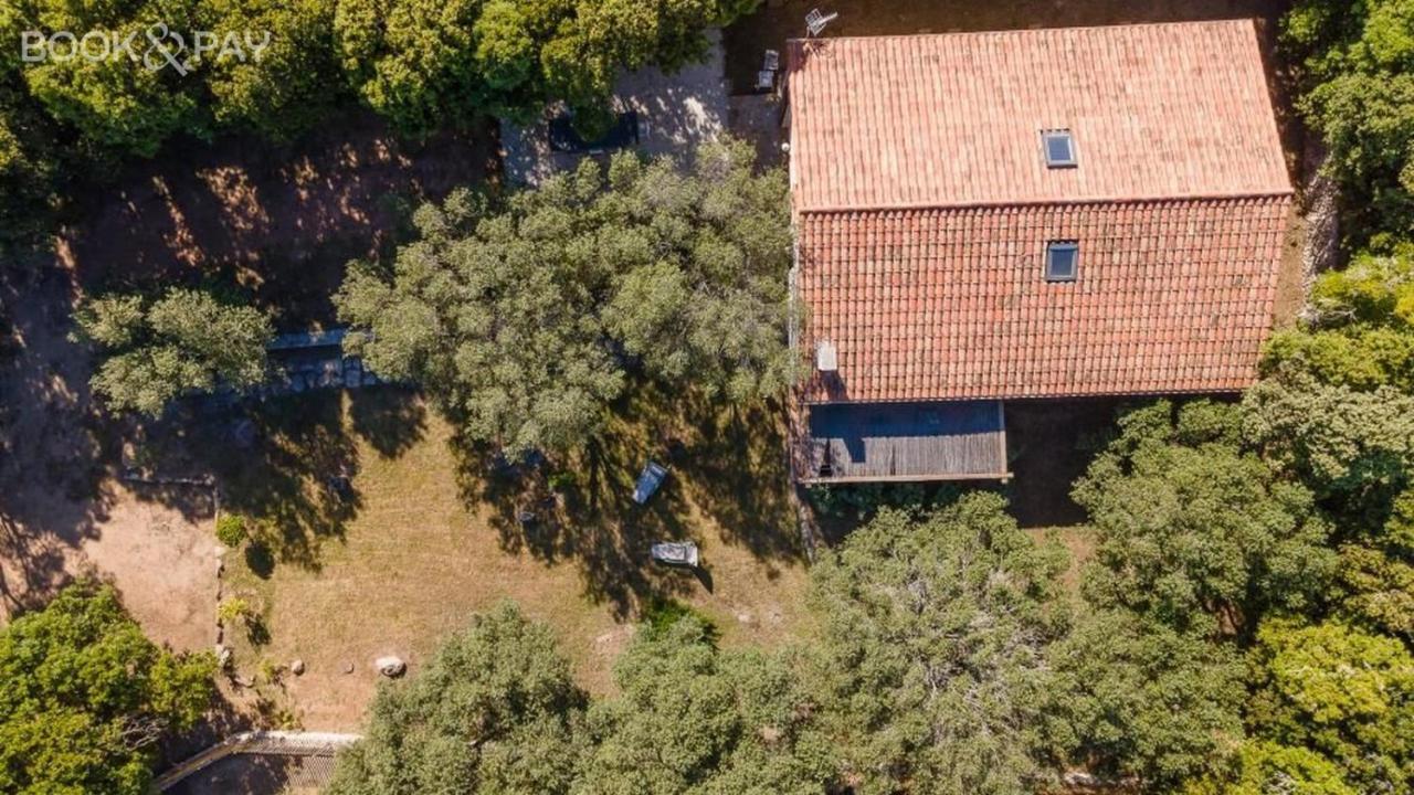 Villa Colombo Bonifacio  Esterno foto